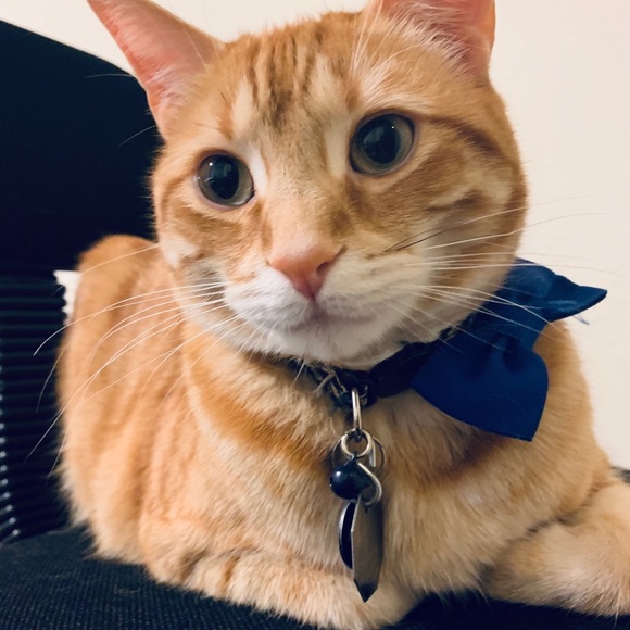 Meet your Posher, Miri @KeeneJoy - Picture 5 of 8